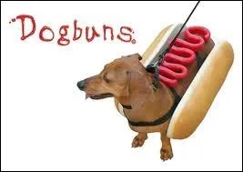 Quand les chiens se mettent au chaud : ce dguisement vous fera saliver !