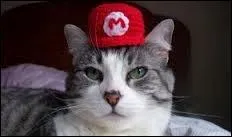 Arrt Mac Do ! De quel dguisement s'agit-il ?