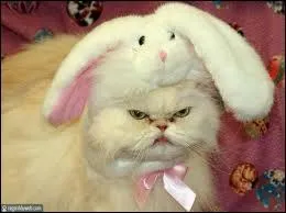 Dguisement idal pour Pques ...