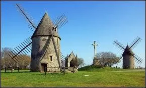 Voici Les Herbiers et son Mont des Alouettes. Quel en est le dpartement ?