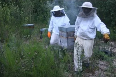 Son mtier il le fait dard, dard.