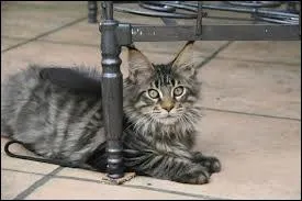 Quel est son 1er nom ?