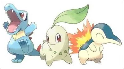 Quel Pokmon est de type feu ?