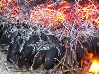 Quelle est cette spcialit de Charente-Maritime prpar  base de moules de bouchot sur une planche et recouvertes d'aiguilles de pins auxquelles ont met le feu ?