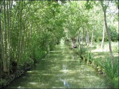 Quel est ce plat que vous pouvez dguster dans la marais Poitevin fait  base de tronons d'anguille, marins dans du vin rouge et du cognac, la marinade sert  faire un court-bouillon ?