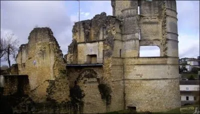 Quelle cette commune qui possde les restes d'un chteau remontant  1082, o Dunois battit les Anglais en 1451 ?