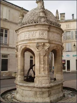 A Saint-Jean-d'Angly vous pouvez admirer une superbe fontaine de style Renaissance et provenant de l'ancien chteau de Brizambourg, quel est son nom ?