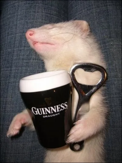 Superbe acteur franais qui, aprs avoir vcu un 't en pente douce', a t invit  dguster une 'soupe aux choux' lors d'un 'dner de cons' :