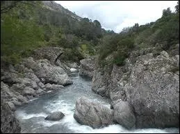 Dans quel dpartement de Corse coule le Vecchio ?