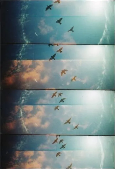 Par qui la chanson de Jean-Jacques-Goldman a-t-elle été reprise ?