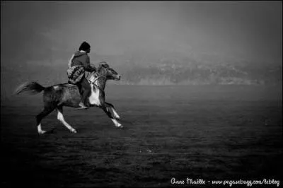 Quel est le nom du groupe qui a fait les génériques des Experts (série TF1) ?