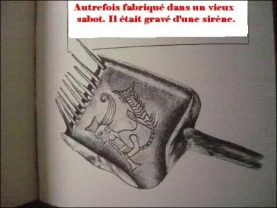 Promenons-nous dans les bois pendant que le loup n'y est pas. Pour quoi employait-on ce joli peigne ?