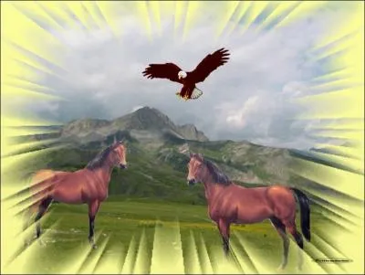 Quelles sont les rgles de scurit ? 