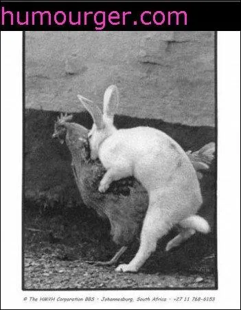 Ils sont mignons, tous les deux, mais y a-t-il un rapport avec le sexe ?