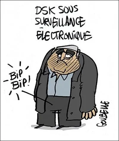 Les gonades ne concernent que l'appareil sexuel masculin !