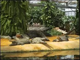 O sont localiss la ville de Pierrelatte et sa ferme aux crocodiles ?