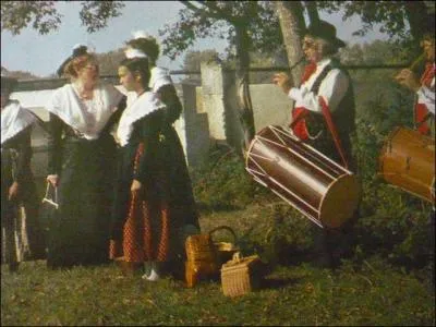 Les tambourinares accompagnent chants et danses qui animent les ftes provenales. De quels instruments jouent-ils ?