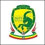 A quelle nation appartient ce blason de football ?