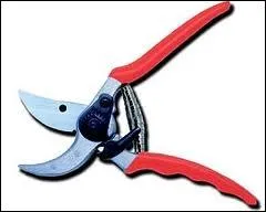 Comment s'appelle cet outil ?