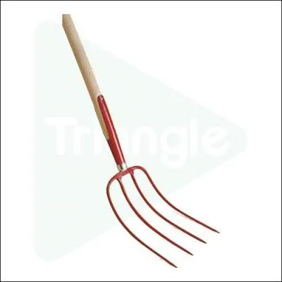 Comment s'appelle cet outil ?