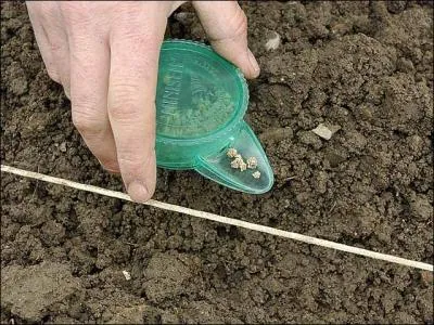 Comment s'appelle cet outil ?