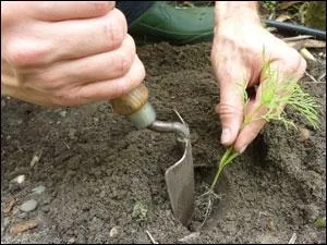 Comment s'appelle cet outil ?