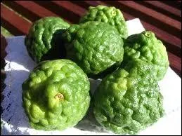 Que sont ces agrumes dont l'arme ressemble  la citronnelle ?