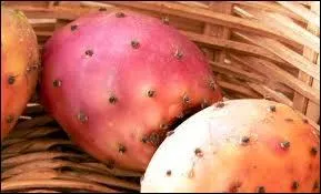 Que sont ces fruits comestibles issus d'un cactus ?