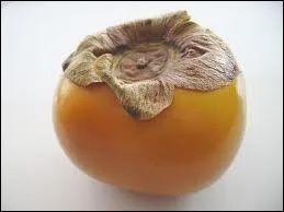 Quel est ce fruit qui pousse sur le plaqueminier du Japon ?