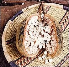 Quel est le fruit du baobab ?