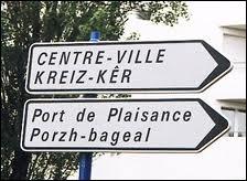 [Langues]  quels groupes linguistiques le breton appartient-il ? (plusieurs rponses vraies)