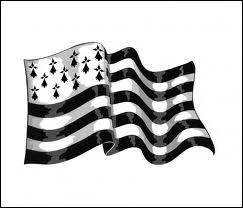 [Divers] Parmi ces symboles, le(s)quel(s) reprsente(nt) la Bretagne ?