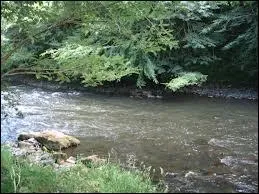 De quelle rivire la Maronne est-elle un affluent ?