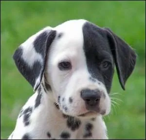 Quelle est celle-ci ?