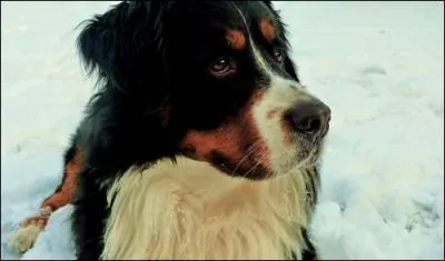 Quelle est celle-l ?