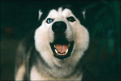 Hum... un peu plus dur !