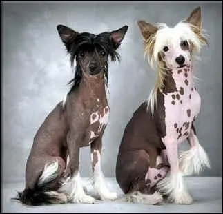 Qu'en est-il de celle-ci ?