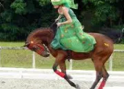 Quiz Galop 2 : la pratique