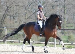 De plus, si tu galopes alors qu'un autre cavalier est au pas, qui a la priorit ?