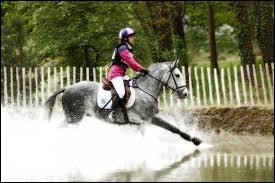 Comment sais-tu que tu trottes sur le bon pied ?