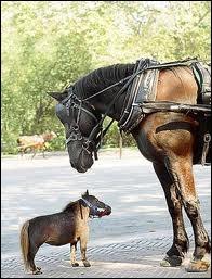 Quelle est la bonne distance de scurit ?