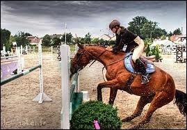 Et si tu sautes  main droite, que le cheval refuse l'obstacle, quelle doit tre ta raction ?