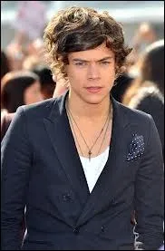 Auparavant, Harry a eu un groupe du nom de   Forever Eskimo  