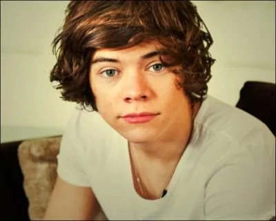 Qu'aime-t-il faire quand il est seul chez lui ?