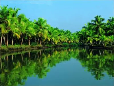 Quelle est la couleur de la pluie qui est tombe le 28 juin 2012 au Kerala ?