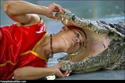 Ce quiz est facile, alors si vous le loupez, ce n'est pas une raison pour ...