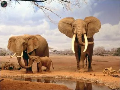 Avec vos airs de ne pas y toucher, vous tes nanmoins capable de ...