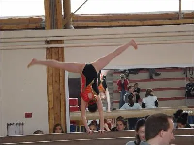 Quelle est cette figure ?