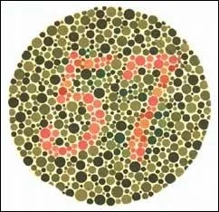 Quel nombre lisez-vous ?