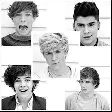 Qui fait le plus le pitre sur les videos diaries de X Factor ?